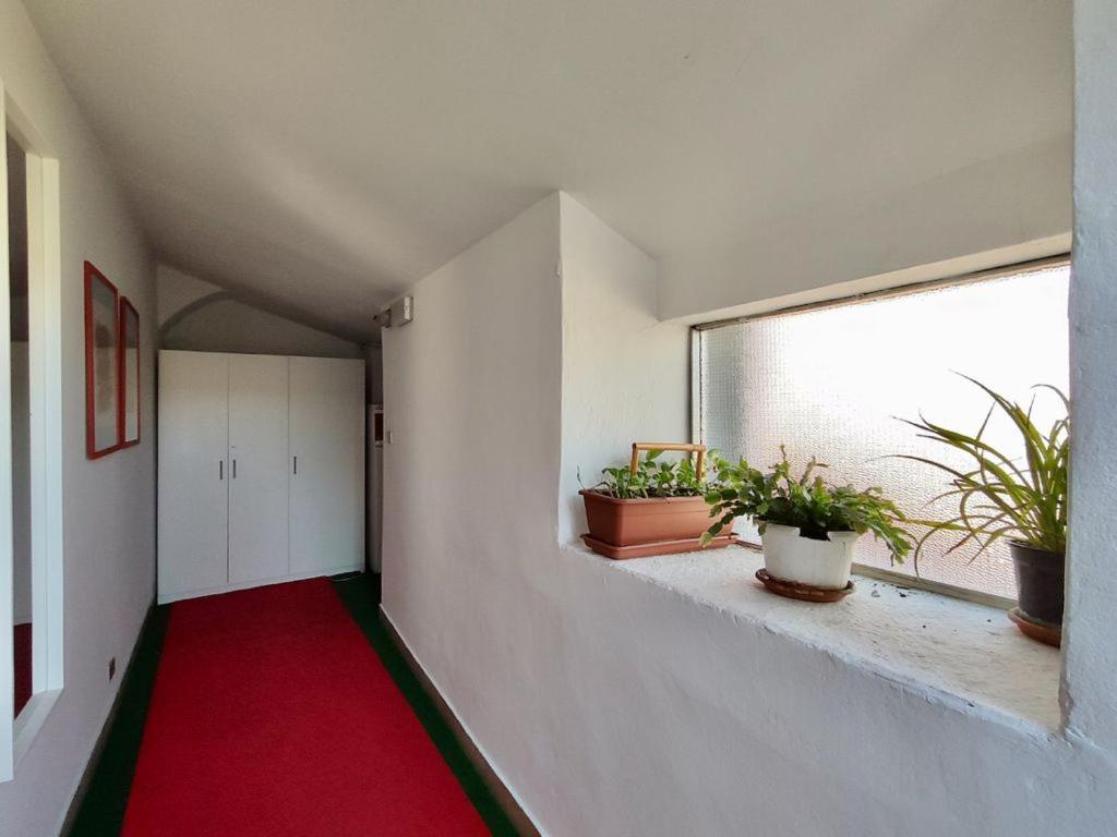 Apartament Cernaia 25 *