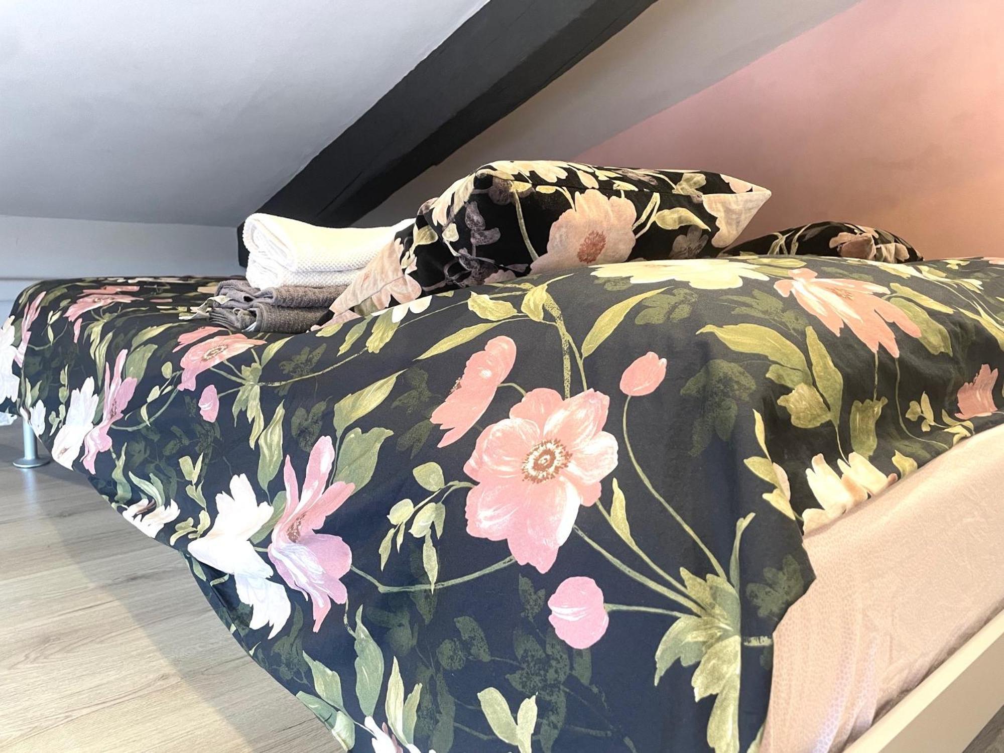 Apartament Cernaia 25 *